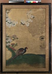 松桜禽鳥図